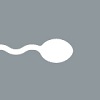 skolko-zhivut-spermatozoidy